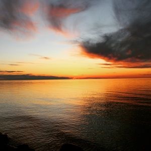 Meet your Posher, Rose